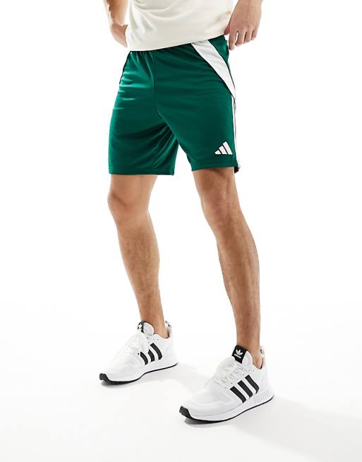 Adidas Football Tiro 24 Shorts In Green