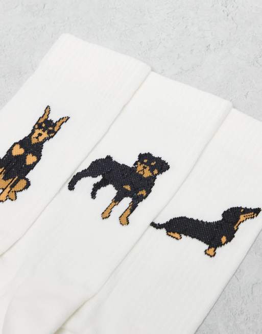 DESIGN 3 Pack Socks With Dog Graphic In White