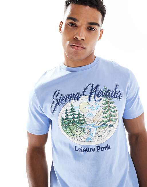 DESIGN boxy standard fit t-shirt with landscape graphic in pale blue