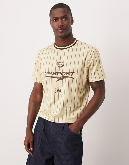 DESIGN cropped t-shirt with stripe and graphic in cream sports fabric