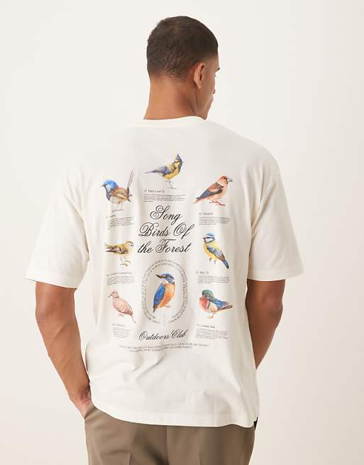 DESIGN oversized t-shirt with birds graphic in cream