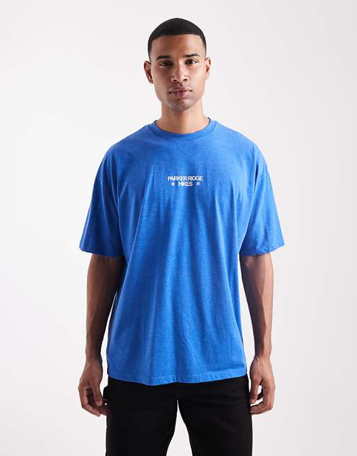 DESIGN Oversized Washed T-shirt With Scenic Graphic In Blue
