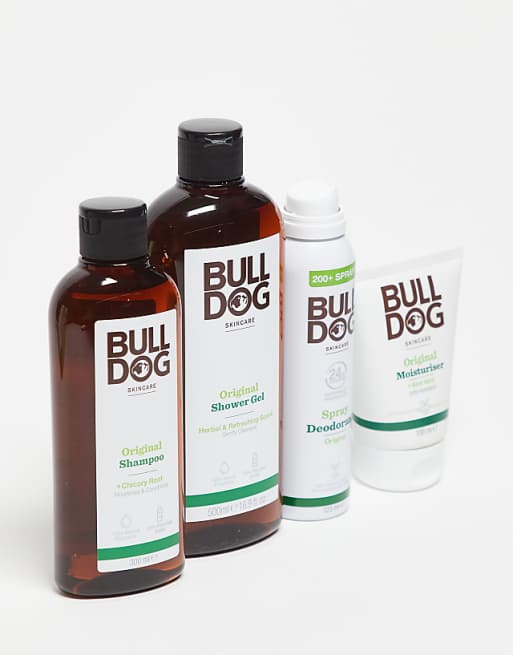 Bulldog Morning Routine