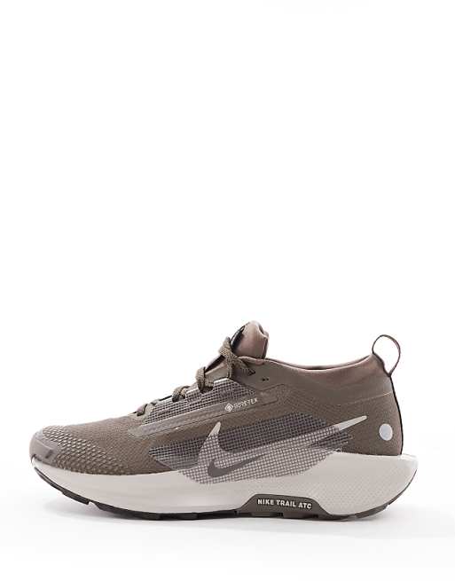 Nike Running ReactX Pegasus Trail 5 GORE-TEX Trainers In Brown And Grey
