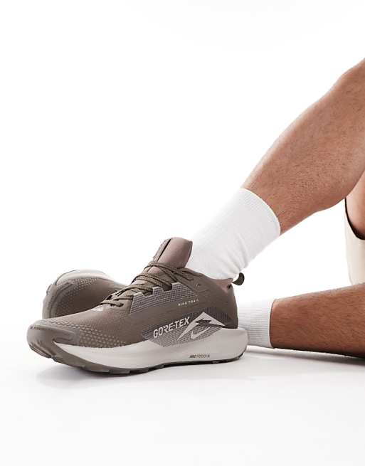 Nike Running ReactX Pegasus Trail 5 GORE-TEX Trainers In Brown And Grey