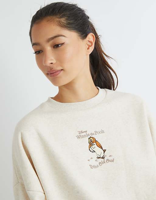 Skinnydip London Winnie The Pooh Owl Sweatshirt In Brown