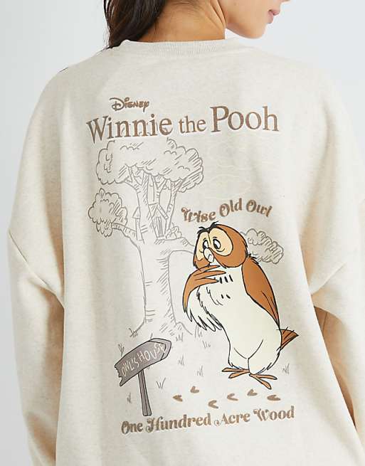 Skinnydip London Winnie The Pooh Owl Sweatshirt In Brown